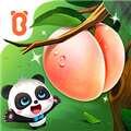 宝宝爱水果游戏最新版 9.71.00.01 安卓版
