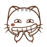 神仙自动救砖安卓版v20210908