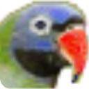 明天五笔高手速成官方版 5.0电脑版