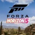 极限竞速地平线5电脑版 v1.607.493