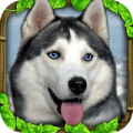 流浪狗模拟器中文版v2.0安卓最新版