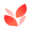 小满壁纸电脑版v1.1.3.0官方版