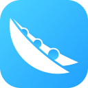 豌豆IP电脑版v1.1.4.1最新版