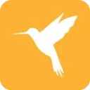 Reqable电脑版v2.30.2