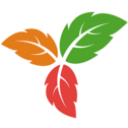 Trilium笔记下载v0.99.0官方版