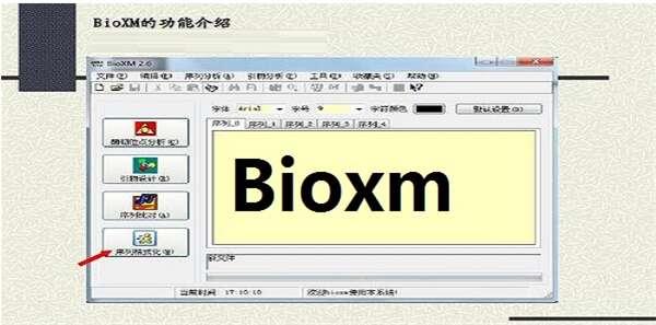 bioxm(基因序列分析软件)免费版 2.6正式版