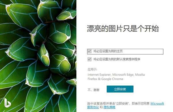 Bing Wallpaper(必应壁纸)v2.0.1.3官方版