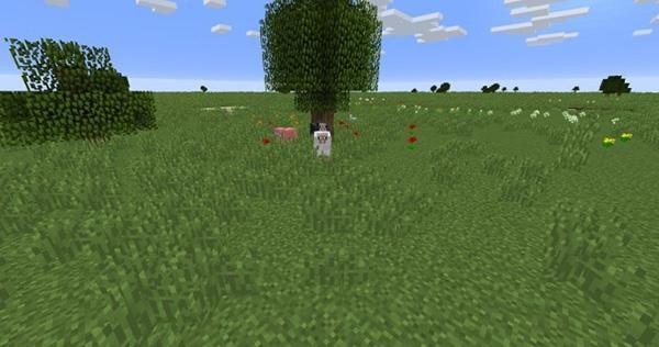 我的世界国际基岩版 1.20.4024 最新官方版