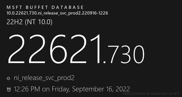 Win11 KB5017385离线更新补丁 官方版
