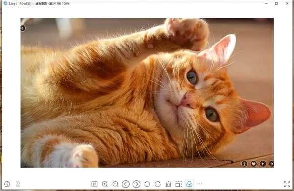 鲨鱼看图官方版 1.0.0.85 最新版