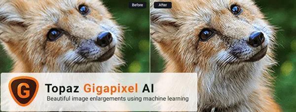 Topaz Gigapixel AI(图片无损放大工具)v8.4.2官方版