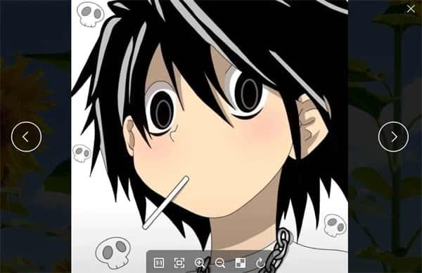 Pineapple Pictures菠萝看图v1.2.1绿色版 Pineapple Pictures菠萝看图v1.2.1绿色版