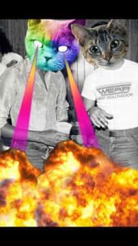 CatWang安卓版v3.2最新版