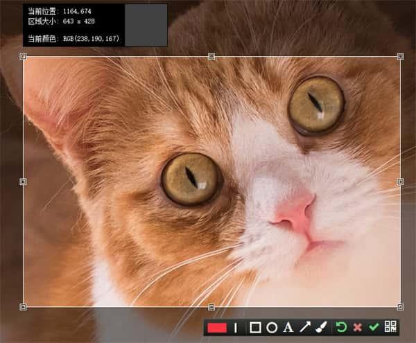 卡卡截图电脑版v3.9.0官方版