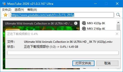 MassTube(YouTube视频下载软件)Ultra v21.3.1.183中文便携版